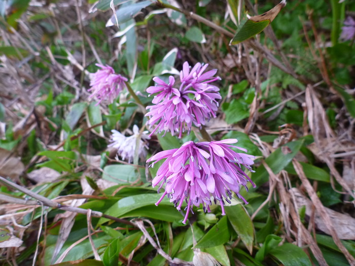 P1050581