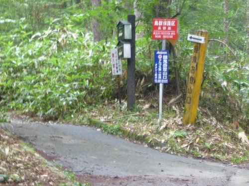 P1000323
