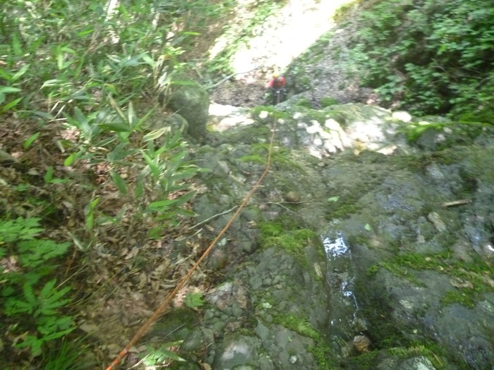 P1020361