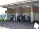 「常識破り」の馬と見られたシーザリオ