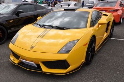 Gallardo