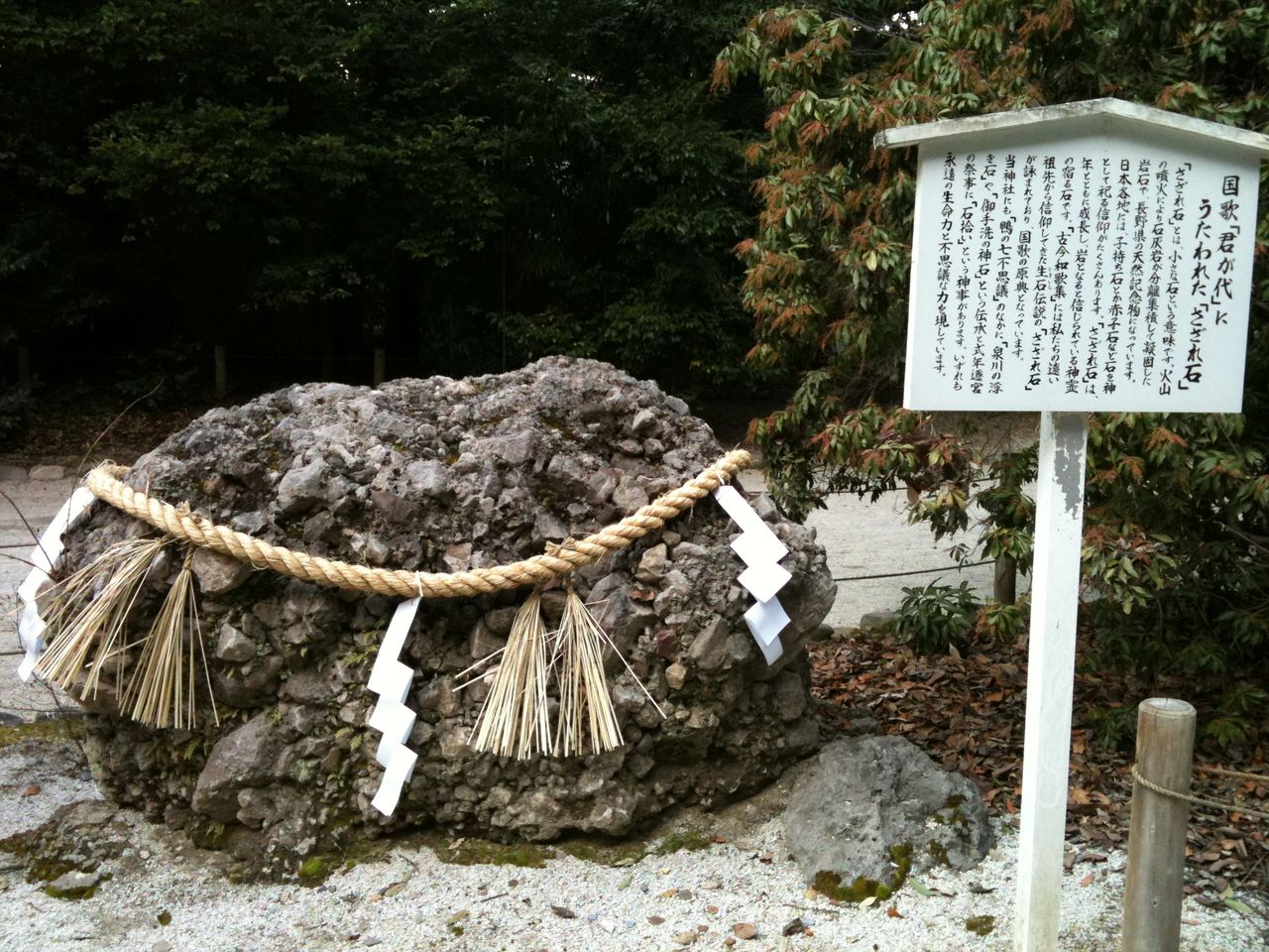 ありあまる富 の掲示板投稿写真＆画像