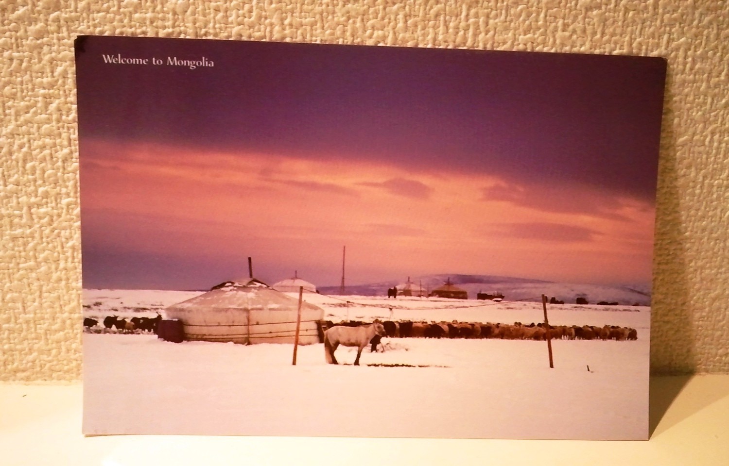 モンゴル800 の掲示板投稿写真＆画像