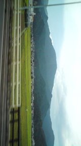 db881f1b.jpg