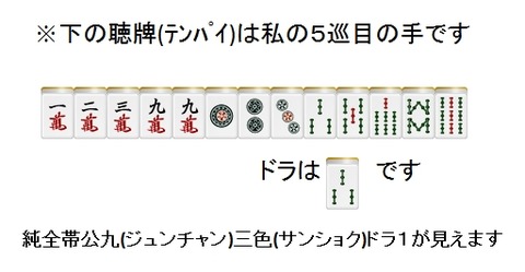 ※※純全帯公九(ジュンチャン)三色(サンショク)ドラ1が見えます