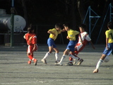 DSC09226-1