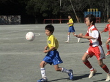 DSC09177-1