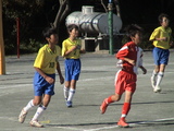 DSC09178-1