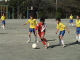 DSC09212-1