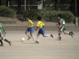 DSC09105-1