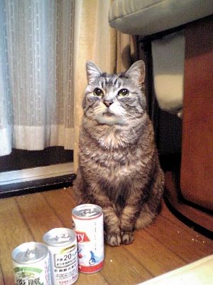 花見酒