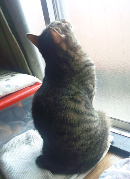 旅もいいな…