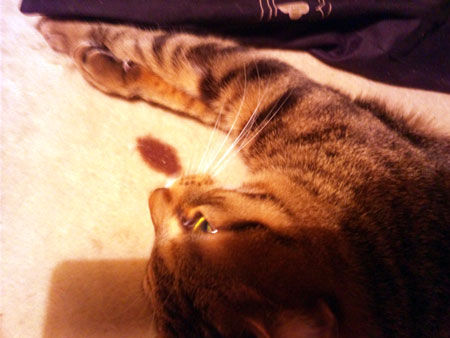 2012年1月22日
