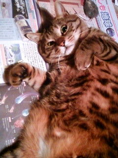 2011年2月大野くん