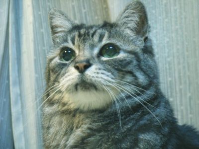 ふみ勝負顔