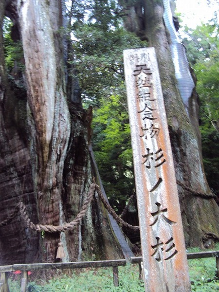 DSC01235