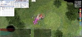 screeniris598