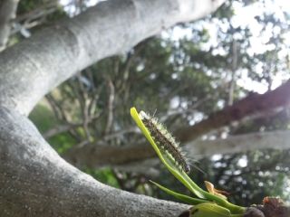 110324_152245