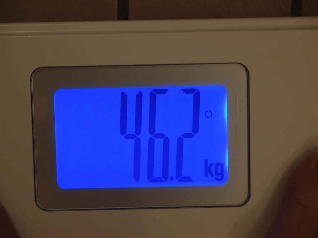 P8303188