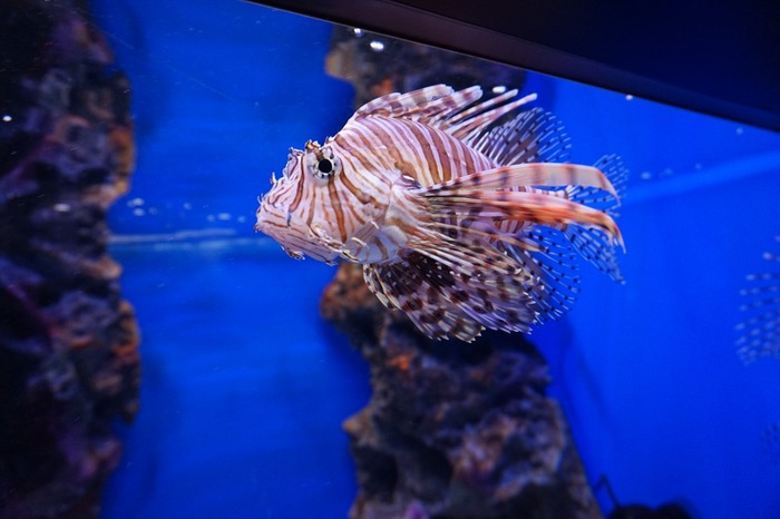 DSC00272_R