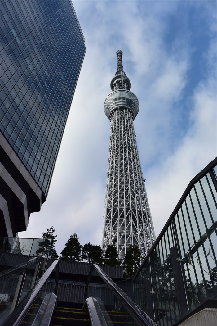 DSC_0799_R