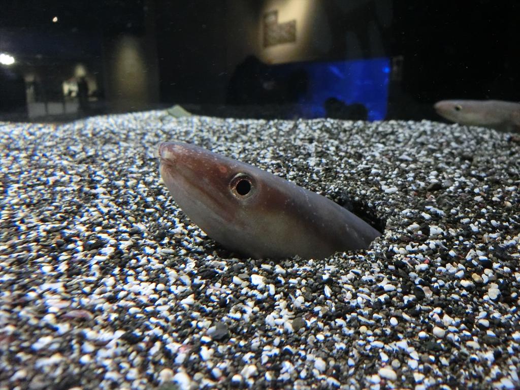 CIMG3969_R