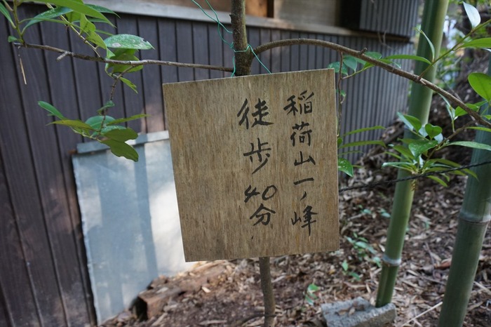DSC00653_R
