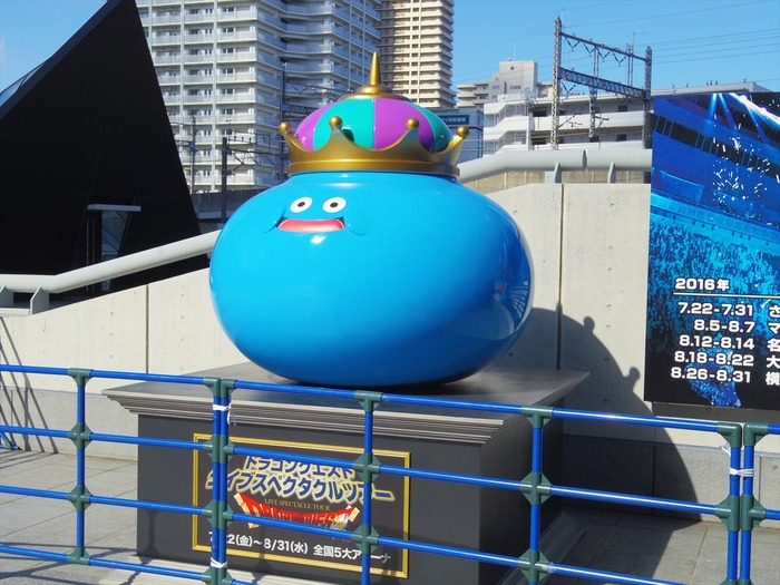 IMGP5543_R