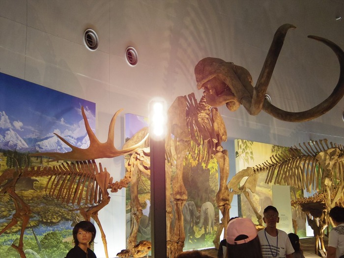 IMGP5272_R