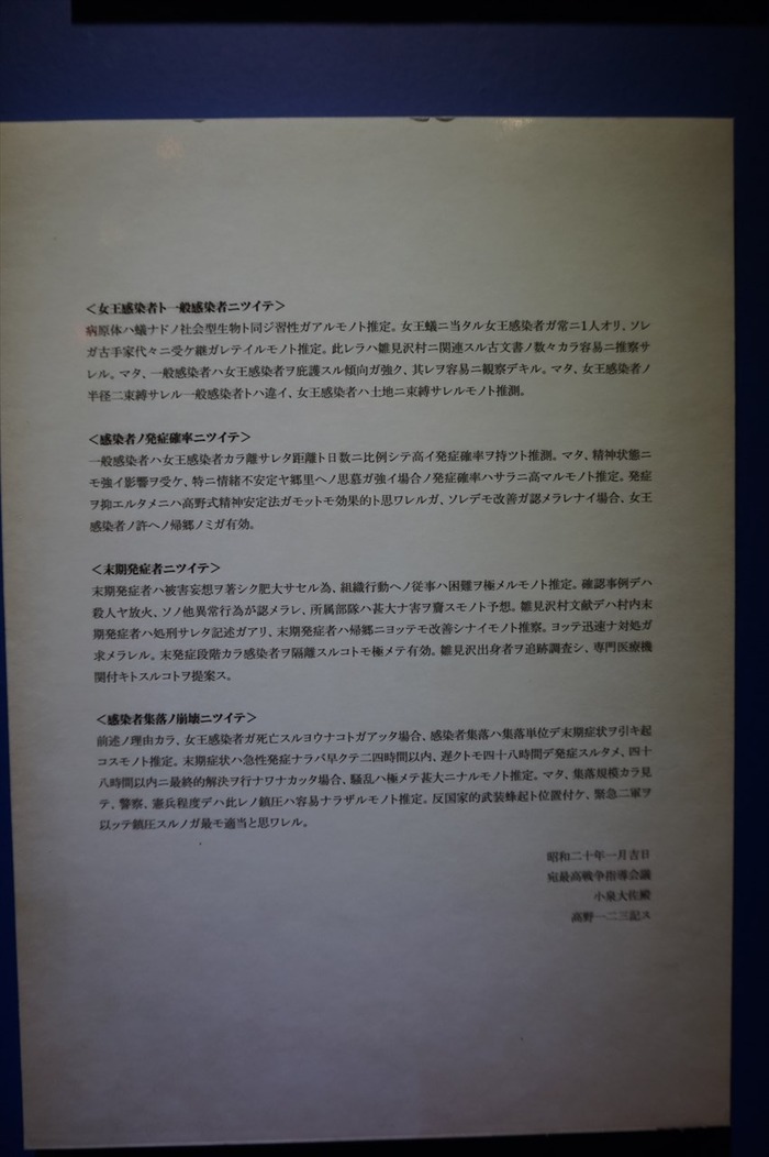 DSC03981_R