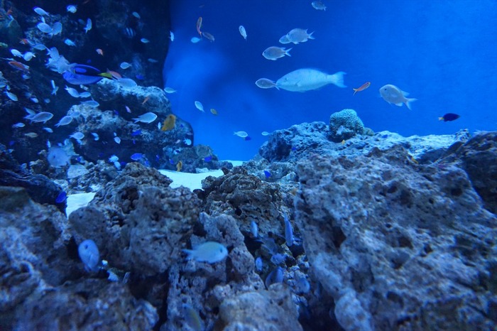DSC00176_R