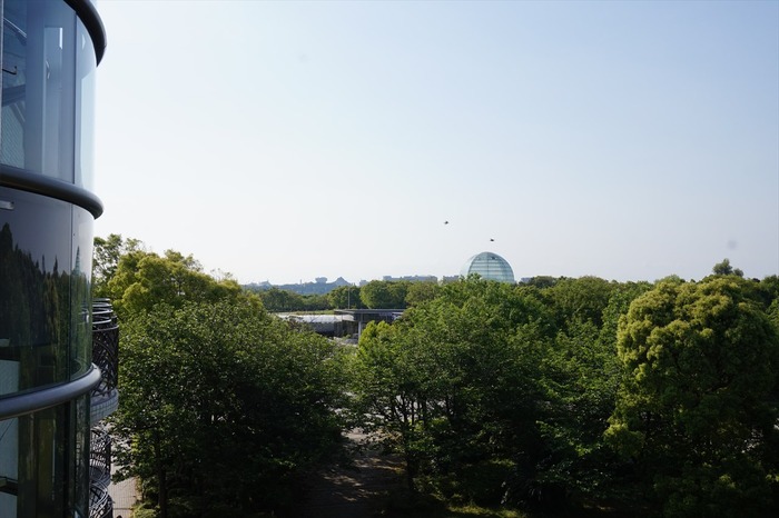 DSC03619_R