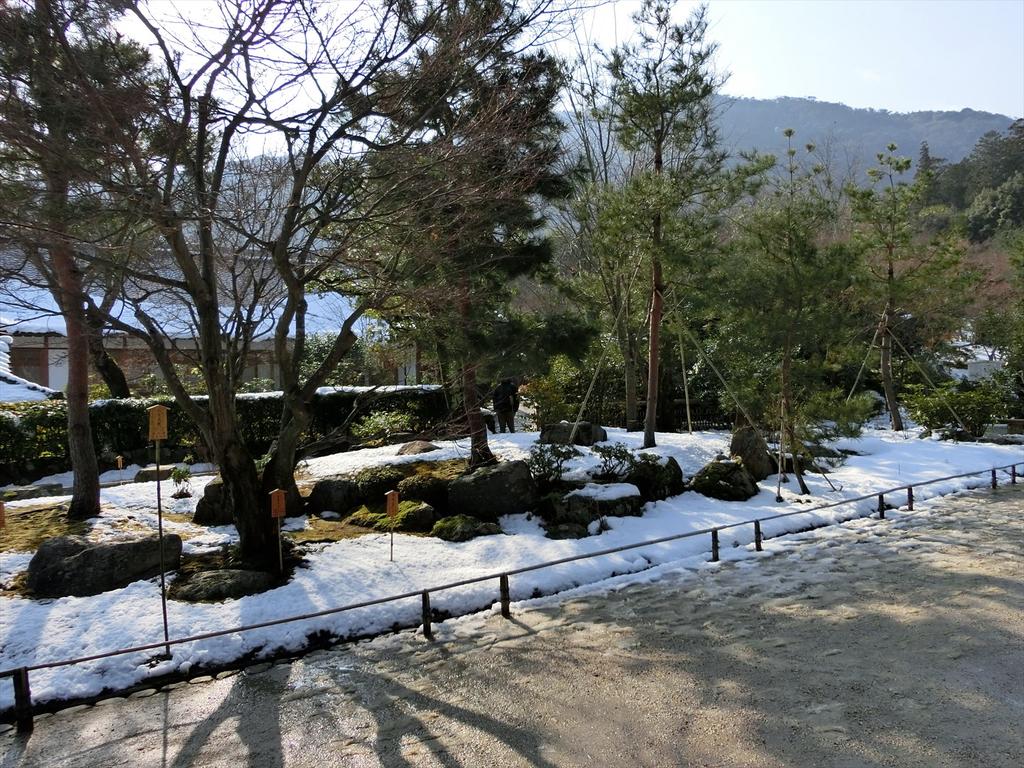 CIMG3522_R