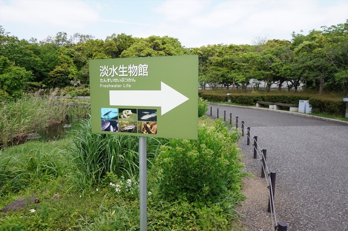 DSC03781_R