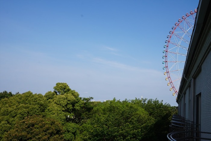 DSC03620_R