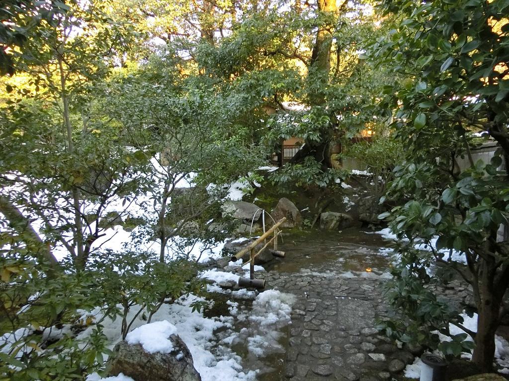CIMG3242_R