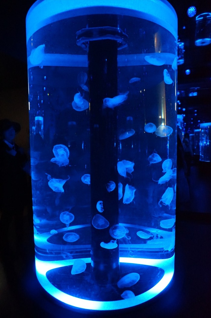 DSC00166_R