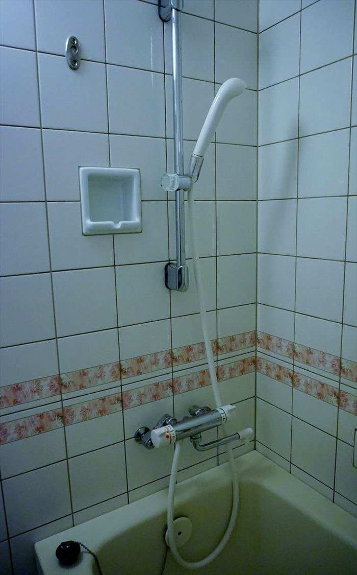 DSC07495_R
