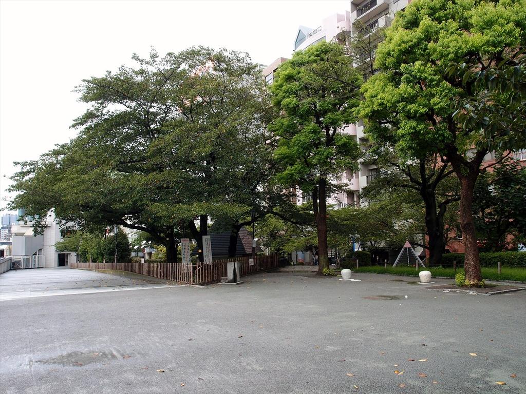 P8303249_R