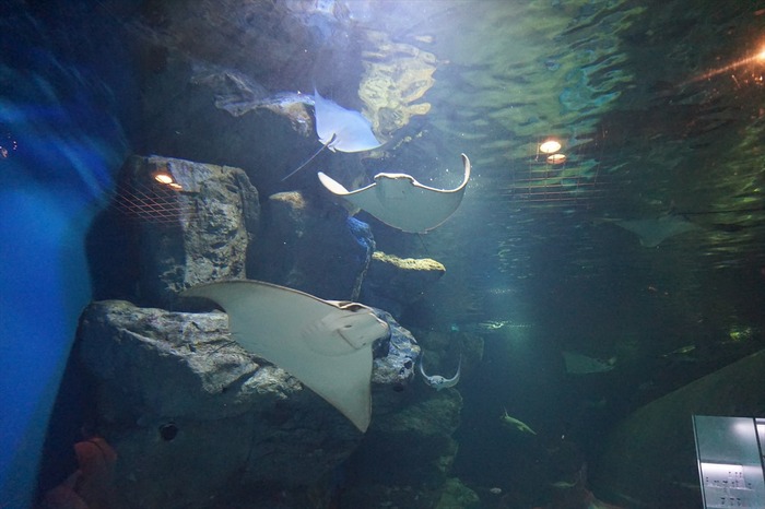 DSC00211_R