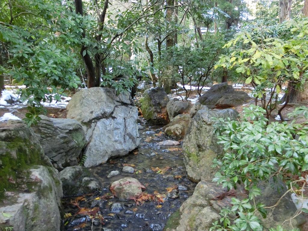CIMG3698_R