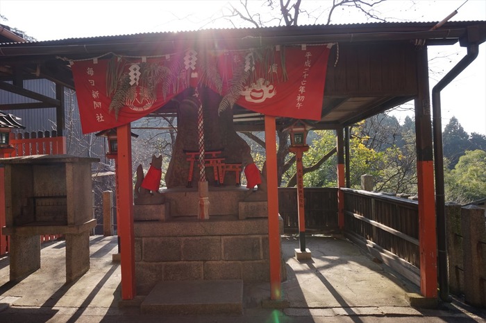 DSC00697_R