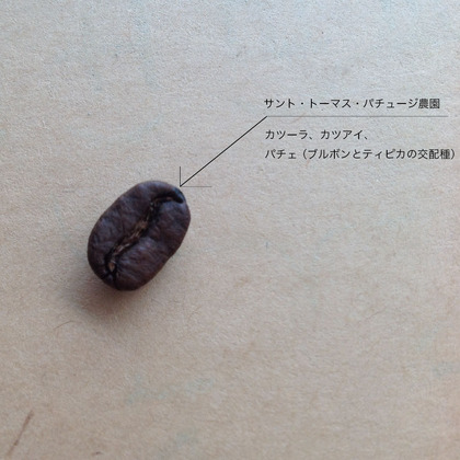 サントトーマス