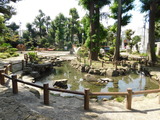 DSCN0138