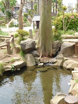 DSCN0049