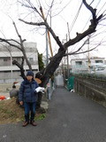 DSCN1046