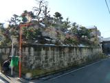 P1020590