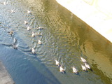 DSCN1003