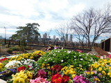 DSCN0009