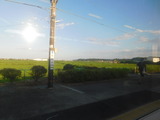 DSCN0085